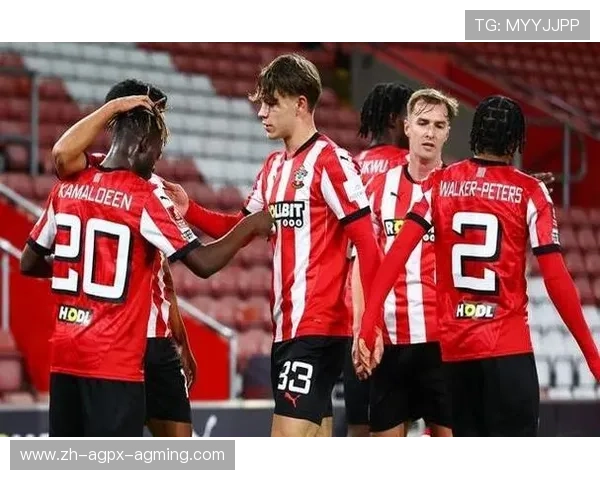 本赛季英超联赛中第三支降级球队是哪家？