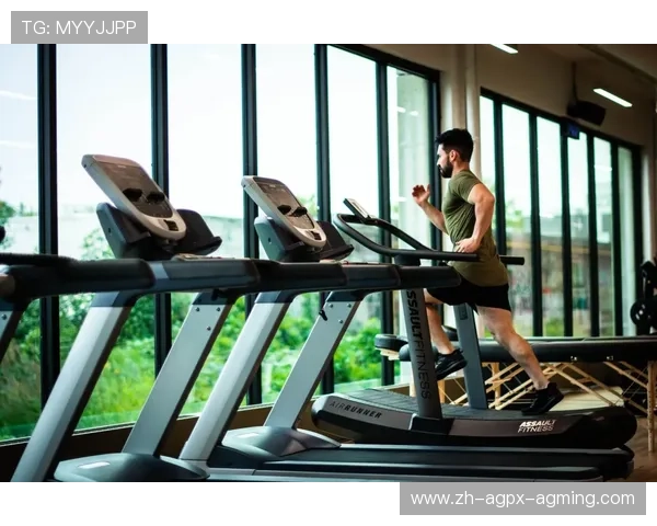 室内外跑步健身器材对比与推荐