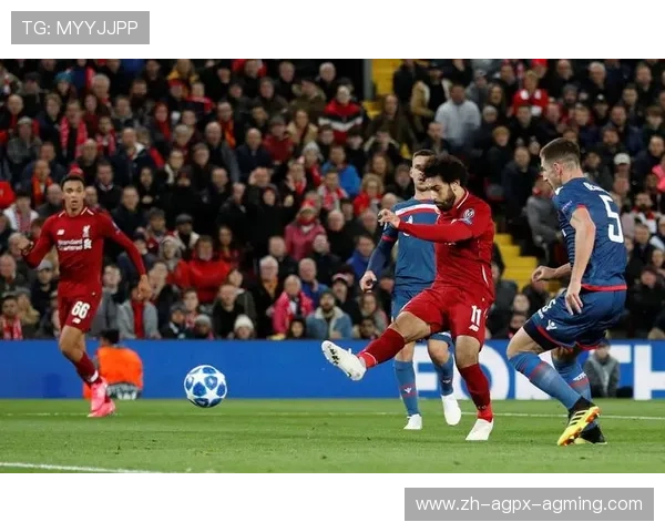 贝尔格莱德红星队欧冠历史战绩与夺冠记录全览